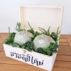 กระเช้าปีใหม่ - Code HNY06