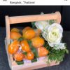 กระเช้ามะยงชิด