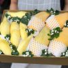 กล่องพรีเมียม ทุเรียนหมอนทอง+มะม่วงน้ำดอกไม้